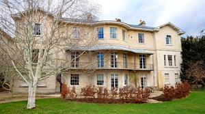 Newly planted bare-root hedge at Bath Priory